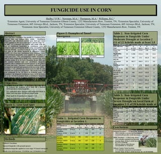 [object Object],[object Object],[object Object],[object Object],FUNGICIDE USE IN CORN Shelby,* P.W. 1 ,  Newman, M.A. 2 ,  Thompson, M.A. 3 ,  Williams, R.C. 4 1 Extension Agent, University of Tennessee Extension Gibson County, 1252 Manufacturers Row, Trenton, TN;  2 Extension Specialist, University of Tennessee Extension, 605 Airways Blvd., Jackson, TN;  3 Extension Specialist, University of Tennessee Extension, 605 Airways Blvd., Jackson, TN;  4 Extension Area Specialist, University of Tennessee Extension Gibson County, 1252 Manufacturers Row, Trenton, TN Gray Leaf Spot ( Cercospora Zeae-maydis)  is a common foliar disease that can reduce corn yields.  Strobilurin fungicides can effectively control gray leaf spot (GLS) when applied at the tassel emergence growth stage VT.  In 2007, UT evaluated GLS control and yields with the use of strobilurin fungicides in continuous corn in irrigated and non-irrigated fields using susceptible and tolerant hybrids.  Location 1 was an irrigated, replicated test plot at the Milan Research & Education Center (MREC) in a four-year continuous corn rotation, where two strobilurin fungicides were applied in 20 gallons of water per acre.  Two non-irrigated studies (Location 2 and 3) were conducted in fields with a second year corn rotation using 20 to 22 Early Roundup Ready (RR) and RR stacked hybrids and one strobilurin fungicide applied with a commercial ground sprayer at 20 gallons of water per acre.  Location 2 involved replicated plots arranged as sprayed and unsprayed blocks at the MREC.  Location 3 was planted on a local farm as side by side sprayed and unsprayed strip plots.  The break even yield was estimated to be 3.8 bu/A at $4.00/bu corn.  At Location 1 in irrigated continuous corn, yield increases of +7 to +25 bu/A resulted from a strobilurin fungicide application to corn at VT where conditions were optimal for heavy GLS infection.  At Location 2, 11 of the 22 hybrids had a +3.8 bu/A yield increase while only 3 of the 20 on-farm strip plots had a +3.8 bu/A yield increase at Location 3.  Abstract Table 1.  Irrigated Corn Response to Fungicides at Location 1. Objectives Figure 2. Examples of Tassel Emergence Early Tassel Full Tassel Methods ,[object Object],[object Object],[object Object],[object Object],Table 2.  Non-Irrigated Corn Response to Fungicide Under Moderate Drought at Location 2 (11 of 22 hybrids made at least 3.8 bushel return). Table 3.  Non-Irrigated Corn Response to Fungicide Under Severe Drought on Local Farm at Location 3 (3 of 20 hybrids made at least 3.8 bushel return).  Conclusions ,[object Object],[object Object],[object Object],[object Object],[object Object],[object Object],[object Object],[object Object],[object Object],[object Object],[object Object],Figure 1.  Gray Leaf Spot 7 200 207 T 6 oz/a Pioneer 33V14 Headline 12 196 208 T 6 oz/a Pioneer 33V14 Quadris 9 228 237 MS 6 oz/a Pioneer 33R76 Headline 17 225 242 MS 6 oz/a Pioneer 33R76 Quadris 25 193 218 S 6 oz/a Pioneer 32T22 Quadris 16 202 218 S 6 oz/a Pioneer 32T22 Headline Difference Bu/A Unsprayed Bu/A Sprayed Bu/A Susceptibility to GLS Rate MREC Treatments at tassel 166.7 164.3 172.4 173.2 163.9 177.1 170 166.9 172 172.4 172.9 Sprayed Bu/A 161.6 158.1 165.6 165.4 159.9 171.1 166.1 157.1 161.8 159 158 Unsprayed Bu/A 3.9 T 59 Dairyland 7212 Bt/RR2 9.8 MS-T 50 AgVenture 8036 RR2Bt 10.2 MS 30 Crows 4842S RR2/Bt 13.4 S-MS 19 Asgrow 715 RR2/Bt 14.9 S-MS 56 Dyna-Gro 57B90 RR/Bt/RW 6 MS 92 Dekalb 61-66 RR/Bt/RW 4 MS 63 Dekalb 63-46 RR/YG S S S S-MS Susceptibility to GLS 5.1 83 Vigoro V52 RP73 6.2 53 Dairyland 7611 RR2/Bt 6.8 39 Croplan 6886 RR2/Bt 7.8 30 Asgrow 715 RR2 Difference Bu/A % Tassel MREC Early RR/STX Trial 164.2 130.3 129.6 Sprayed Bu/A 160.3 124 142.5 Unsprayed Bu/A 6.3 MS 25 FFR 650 RR/Bt 12.9 S 30 Croplan 6440 RR2/Bt S-MS Susceptibility to GLS 3.9 30 Asgrow 715 RR2/Bt Difference Bu/A % Tassel Gibson Co. Farm Early RR/STX Trial 
