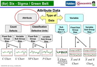 08 NEM (SPC).ppt