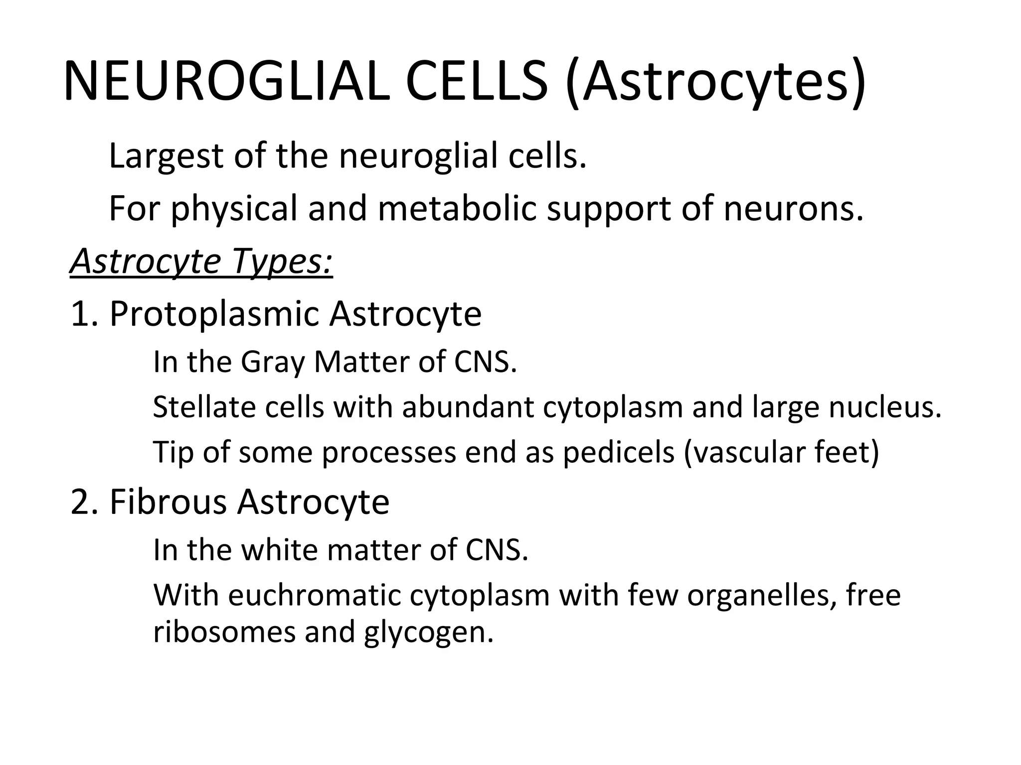 NEUROGLIAL CELLS (Astrocytes)

Largest of the neuroglial cells.

For physical and metabolic support of neurons.
Astrocyte Types:
1. Protoplasmic Astrocyte

In the Gray Matter of CNS.

Stellate cells with abundant cytoplasm and large nucleus.

Tip of some processes end as pedicels (vascular feet)
2. Fibrous Astrocyte

In the white matter of CNS.

With euchromatic cytoplasm with few organelles, free
ribosomes and glycogen.
 