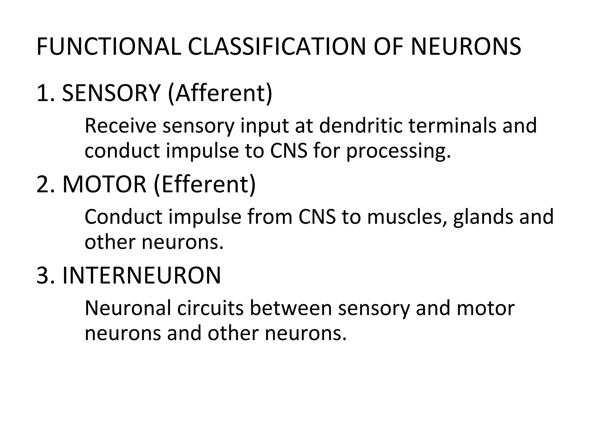 FUNCTIONAL CLASSIFICATION OF NEURONS
1. SENSORY (Afferent)

Receive sensory input at dendritic terminals and
conduct impulse to CNS for processing.
2. MOTOR (Efferent)

Conduct impulse from CNS to muscles, glands and
other neurons.
3. INTERNEURON

Neuronal circuits between sensory and motor
neurons and other neurons.
 