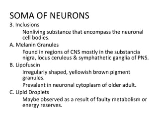 SOMA OF NEURONS
3. Inclusions

Nonliving substance that encompass the neuronal
cell bodies.
A. Melanin Granules

Found in regions of CNS mostly in the substancia
nigra, locus ceruleus & symphathetic ganglia of PNS.
B. Lipofuscin

Irregularly shaped, yellowish brown pigment
granules.

Prevalent in neuronal cytoplasm of older adult.
C. Lipid Droplets

Maybe observed as a result of faulty metabolism or
energy reserves.
 