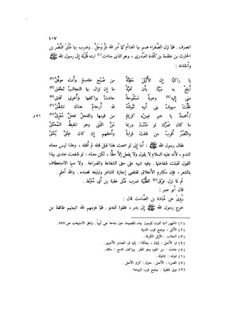 الدرر في اختصار المغازي لابن عبد البر الحافظ 