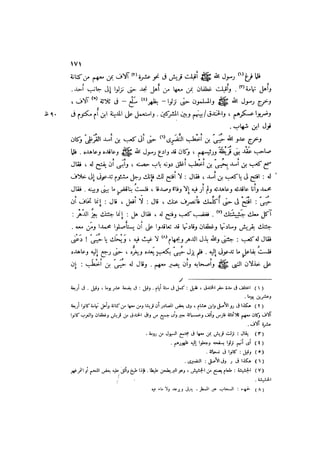 الدرر في اختصار المغازي لابن عبد البر الحافظ 