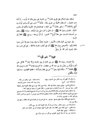 الدرر في اختصار المغازي لابن عبد البر الحافظ 