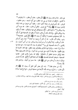 الدرر في اختصار المغازي لابن عبد البر الحافظ 