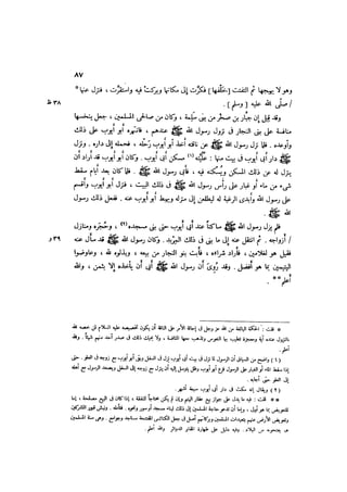 الدرر في اختصار المغازي لابن عبد البر الحافظ 