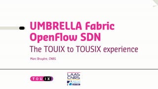 Marc Bruyère, CNRS
UMBRELLA Fabric
OpenFlow SDN
The TOUIX to TOUSIX experience
 