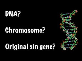 DNA?

Chromosome?

Original sin gene?
 