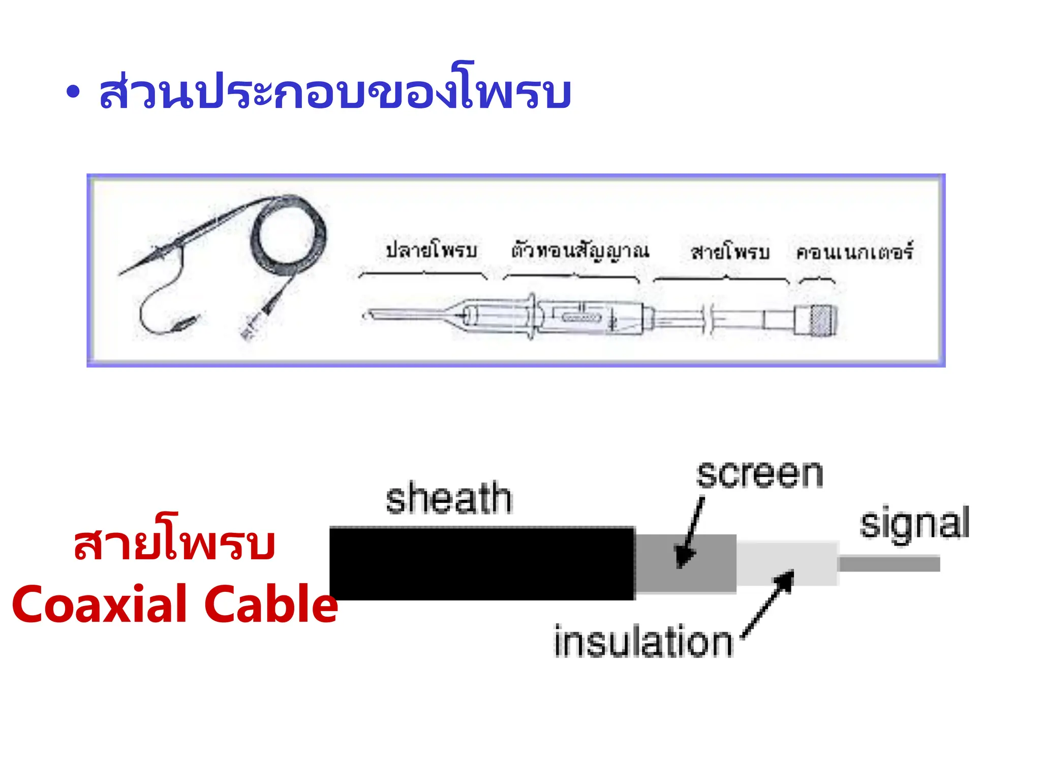 • ส่วนประกอบของโพรบ
สายโพรบ
Coaxial Cable
 