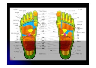 08p   reflexologia chinesa