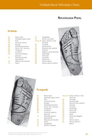 Fertilidade Natural: Reﬂexologia e Shiatsu

REFLEXOLOGIA PODAL

Pé direito
01
02
03
04
05
06
07
08
09
10
11
12
13

Plexo solar
Glândula supra renal
Rim
Canal da uretra
Bexiga
Glândula pituitária
Sinus, Sist. nervoso
Têmporas
Cerebelo
Sistema linfático,
pescoço
Glândula pineal,
hipotálamo
Músculo do maxilar
Nariz

14
Amígdalas
15
Olhos e ouvidos
16 ao 19 Sinus, dentes e Sist.
Nervoso
20
Tireóide
21
Paratireóide
22
Músculo dos ombros
23
Pulmão
24
Fígado e vesícula biliar
25
Estômago
26
Pâncreas
27
Duodeno
28
Intestinos
29
Nervo ciático
30
Nervo ciático e pélvis

Pé esquerdo
01
02
03
04
05
06
07
08
09
10
11
12
13
14
15

DR. ARNALDO SCHIZZI CAMBIAGHI E DRA. DANIELLA SPILBORGHS CASTELLOTTI

Plexo solar
Glândula supra renal
Rim
Canal da uretra
Bexiga
Glândula pituitária
Sinus, Sist. nervoso
Têmporas
Cerebelo
Sistema linfático,
pescoço
Glândula pineal,
hipotálamo
Músculo do maxilar
Nariz
Amígdalas
Olhos e ouvidos

16 ao 19 Sinus, dentes e Sist.
Nervoso
20
Tireóide
21
Paratireóide
22
Músculo dos ombros
23
Pulmão
24
Coração
25
Estômago
26
Pâncreas
27
Duodeno
28
Baço
29
Intestino delgado
30
Ânus
31
Nervo ciático
32
Nervo ciático e
pélvis

97

 