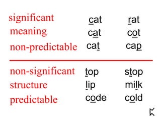 cat rat
cat cot
cat cap
top stop
lip milk
code cold
significant
non-significant
predictable
non-predictable
meaning
structure
 