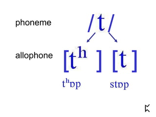 phoneme
allophone
/ /
[ ] [ ]
 