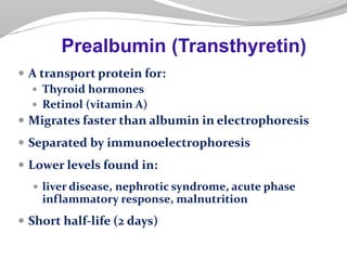  A transport protein for:
 Thyroid hormones
 Retinol (vitamin A)
 Migrates faster than albumin in electrophoresis
 Separated by immunoelectrophoresis
 Lower levels found in:
 liver disease, nephrotic syndrome, acute phase
inflammatory response, malnutrition
 Short half-life (2 days)
Prealbumin (Transthyretin)
 
