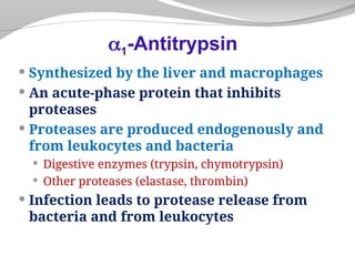  Synthesized by the liver and macrophages
 An acute-phase protein that inhibits
proteases
 Proteases are produced endogenously and
from leukocytes and bacteria
 Digestive enzymes (trypsin, chymotrypsin)
 Other proteases (elastase, thrombin)
 Infection leads to protease release from
bacteria and from leukocytes
1-Antitrypsin
 