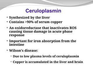  Synthesized by the liver
 Contains >90% of serum copper
 An oxidoreductase that inactivates ROS
causing tissue damage in acute phase
response
 Important for iron absorption from the
intestine
 Wilson’s disease:
 Due to low plasma levels of ceruloplasmin
 Copper is accumulated in the liver and brain
Ceruloplasmin
 
