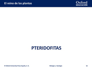 El reino de las plantas
PTERIDOFITAS
© Oxford University Press España, S. A. Biología y Geología 16
 
