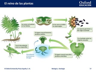 El reino de las plantas
© Oxford University Press España, S. A. Biología y Geología 17
 