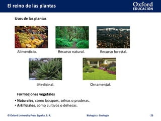 El reino de las plantas
© Oxford University Press España, S. A. Biología y Geología 23
Usos de las plantas
Alimenticio.
Ornamental.
Recurso natural. Recurso forestal.
Medicinal.
Formaciones vegetales
• Naturales, como bosques, selvas o praderas.
• Artificiales, como cultivos o dehesas.
 