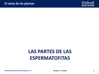 El reino de las plantas
LAS PARTES DE LAS
ESPERMATOFITAS
© Oxford University Press España, S. A. Biología y Geología 5
 