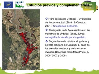 Estudios previos y complementarios Flora exótica de Urdaibai – Evaluación del impacto actual (Silván & Campos, 2001):  12 especies invasoras. Cartografía de la flora alóctona en las marismas de Urdaibai (Ekos, 2005):  cartografía de detalle para la gestión. Seguimiento de hábitats singulares y de flora alóctona en Urdaibai: El caso de los arenales costeros y de la especie invasora Baccharis halimifolia (Prieto, A. 2006, 2007 y 2008). 