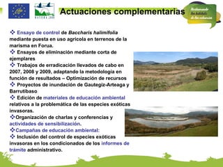 Actuaciones complementarias Ensayo de control  de  Baccharis halimifolia  mediante puesta en uso agrícola en terrenos de la marisma en Forua. Ensayos de eliminación mediante corta de ejemplares Trabajos de erradicación llevados de cabo en 2007, 2008 y 2009, adaptando la metodología en función de resultados – Optimización de recursos Proyectos de inundación de Gautegiz-Arteaga y Barrutibaso Edición de  materiales de educación ambiental  relativos a la problemática de las especies exóticas invasoras. Organización de charlas y conferencias y  actividades de sensibilización . Campañas de educación ambiental:   Inclusión del control de especies exóticas invasoras en los condicionados de los  informes de trámite  administrativo. 