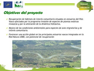 Objetivos del proyecto Recuperación de hábitats de interés comunitario situados en estuarios del País Vasco afectados por la progresiva invasión de especies de plantas exóticas invasoras y por la alteración de la dinámica hidráulica. Mejora de las condiciones ambientales para especies de aves migratorias y de interés comunitario. Favorecer una acción global en los principales estuarios vascos integrados en la Red Natura 2000, con potencial de recuperación 