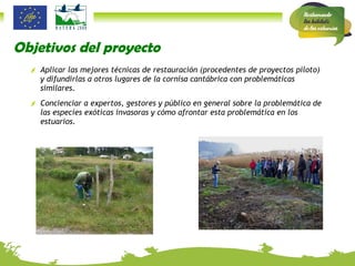 Objetivos del proyecto Aplicar las mejores técnicas de restauración (procedentes de proyectos piloto) y difundirlas a otros lugares de la cornisa cantábrica con problemáticas similares. Concienciar a expertos, gestores y público en general sobre la problemática de las especies exóticas invasoras y cómo afrontar esta problemática en los estuarios.  