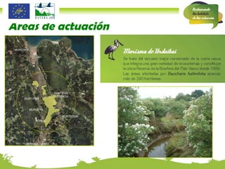 Áreas de actuación GERNIKA - LUMO MUNDAKA FORUA GAUTEGIZ  ARTEAGA MURUETA BUSTURIA KORTEZUBI 