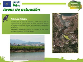 Áreas de actuación IRUN HONDARRIBIA HENDAIA 