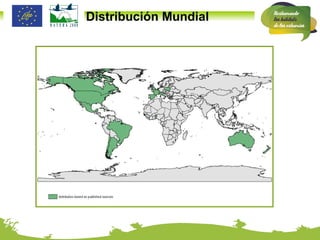 Distribución Mundial 