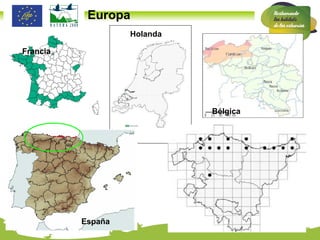 Europa Francia Bélgica Holanda España 