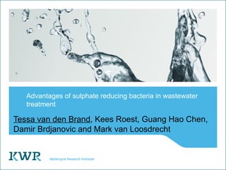 Advantages of sulphate reducing bacteria in wastewater
   treatment

Tessa van den Brand, Kees Roest, Guang Hao Chen,
Damir Brdjanovic and Mark van Loosdrecht
 