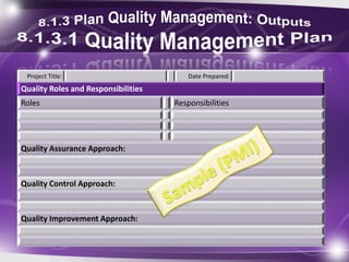 Quality Roles and Responsibilities
Roles Responsibilities
Quality Assurance Approach:
Quality Control Approach:
Quality Improvement Approach:
Project Title: Date Prepared:
 