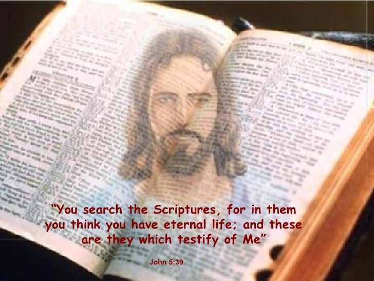 Image result for you search the scriptures