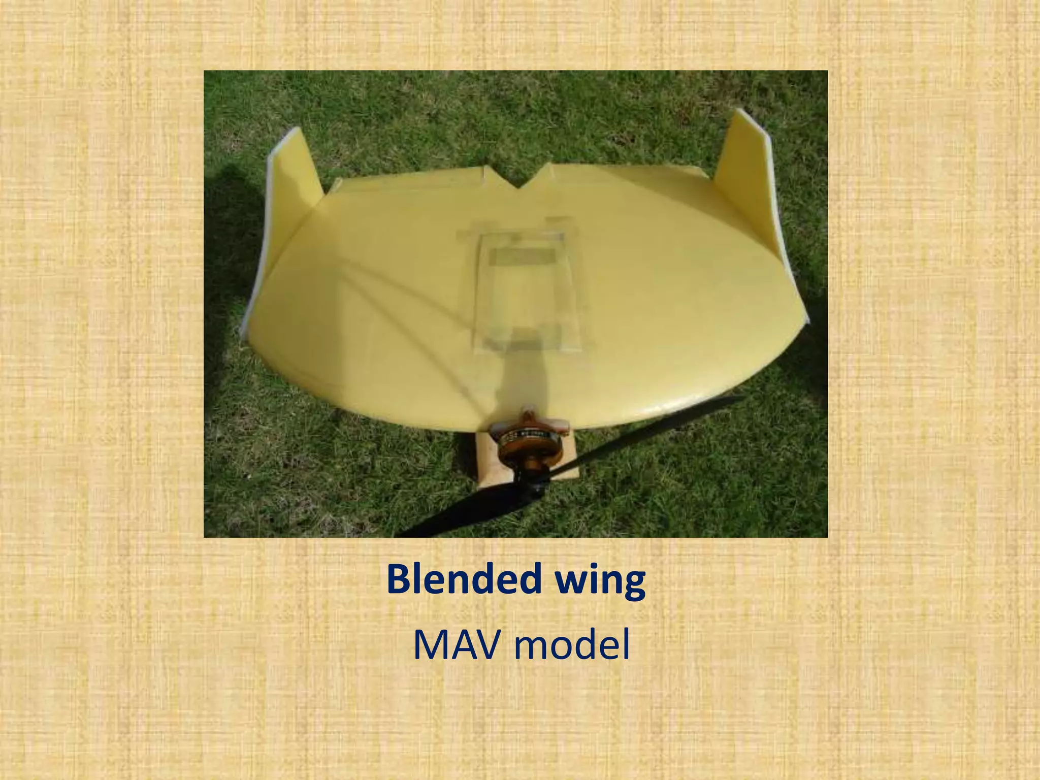 Blended wing
 MAV model
 