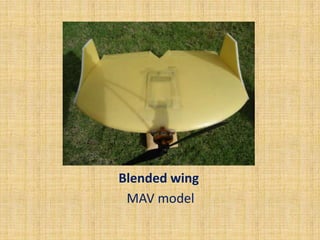 Blended wing
 MAV model
 