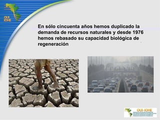En sólo cincuenta años hemos duplicado la demanda de recursos naturales y desde 1976 hemos rebasado su capacidad biológica de regeneración
