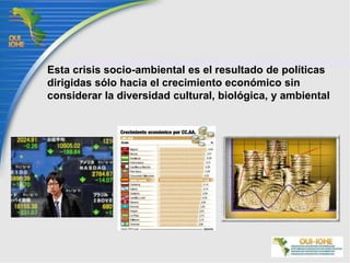 Esta crisis socio-ambiental es el resultado de políticas dirigidas sólo hacia el crecimiento económico sin considerar la diversidad cultural, biológica, y ambiental