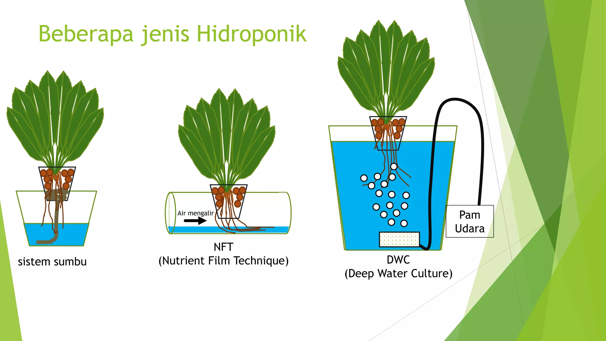 Beberapa jenis Hidroponik
sistem sumbu
Pam
Udara
DWC
(Deep Water Culture)
NFT
(Nutrient Film Technique)
Air mengalir