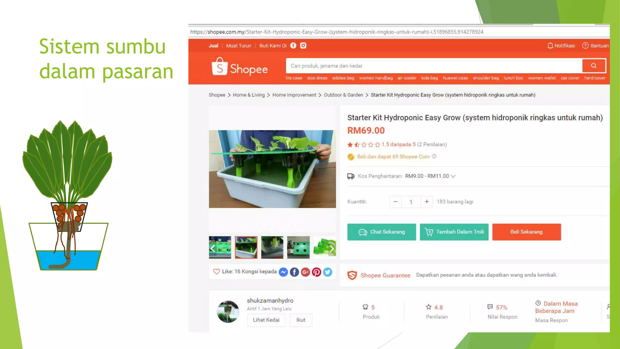 Sistem sumbu
dalam pasaran