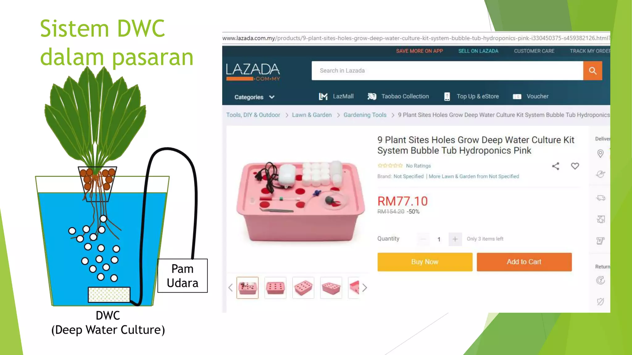 Sistem DWC
dalam pasaran