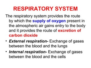 RESPIRATORY SYSTEM
The respiratory system provides the route
by which the supply of oxygen present in
the atmospheric air gains entry to the body
and it provides the route of excretion of
carbon dioxide
• External respiration- Exchange of gases
between the blood and the lungs
• Internal respiration- Exchange of gases
between the blood and the cells
 