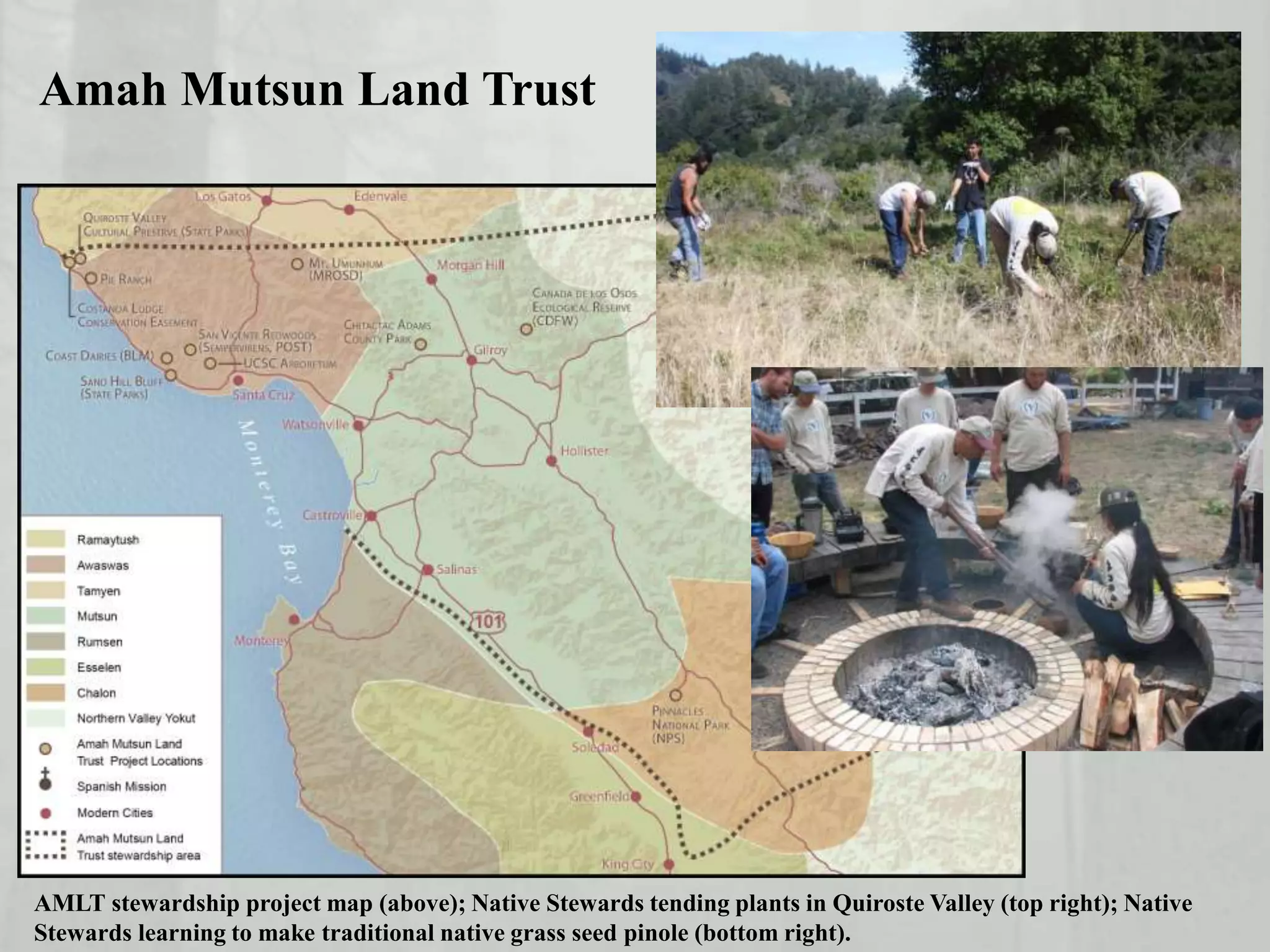 AMLT stewardship project map (above); Native Stewards tending plants in Quiroste Valley (top right); Native
Stewards learning to make traditional native grass seed pinole (bottom right).
Amah Mutsun Land Trust
 