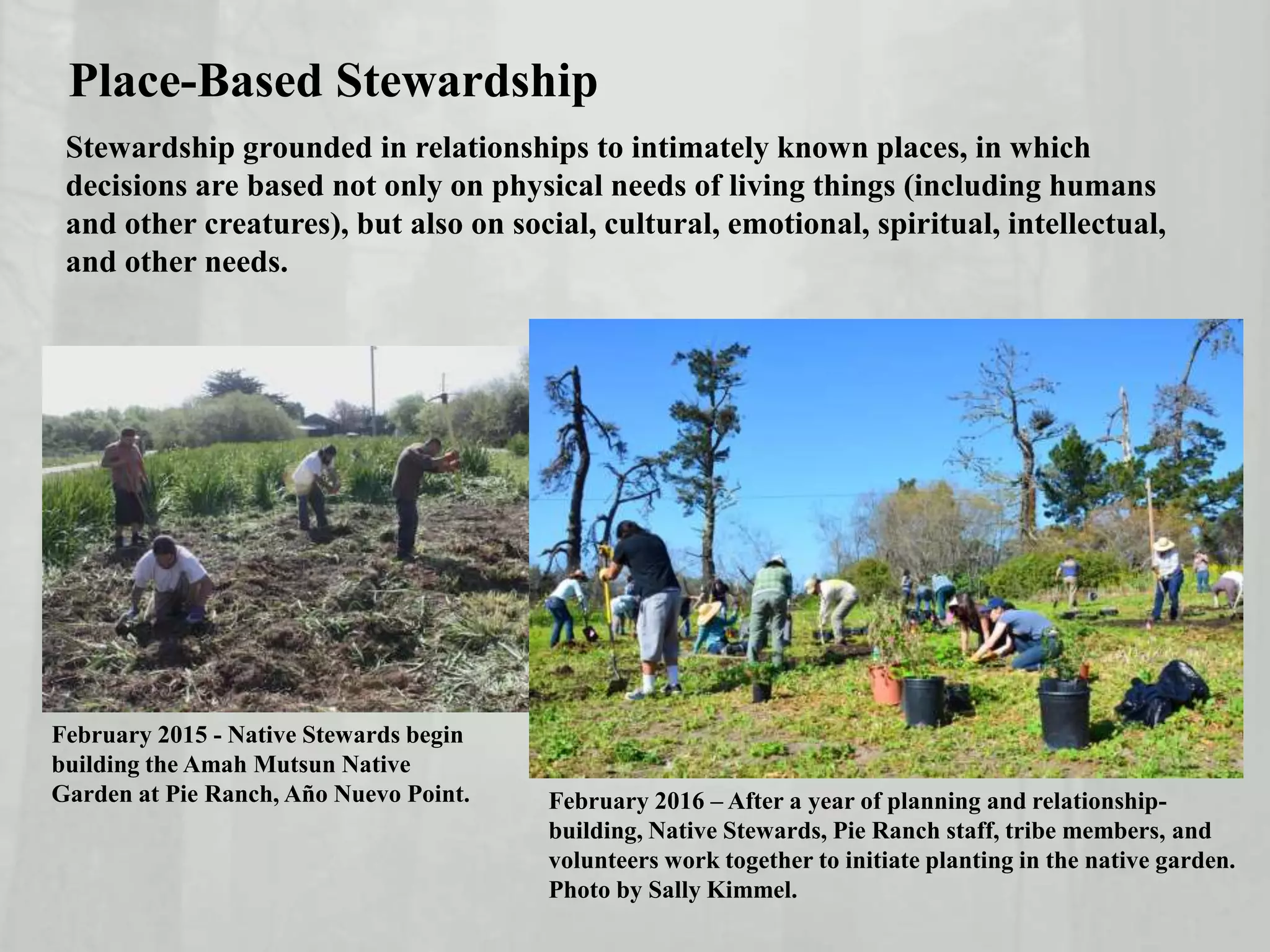 Place-Based Stewardship
February 2016 – After a year of planning and relationship-
building, Native Stewards, Pie Ranch staff, tribe members, and
volunteers work together to initiate planting in the native garden.
Photo by Sally Kimmel.
Stewardship grounded in relationships to intimately known places, in which
decisions are based not only on physical needs of living things (including humans
and other creatures), but also on social, cultural, emotional, spiritual, intellectual,
and other needs.
February 2015 - Native Stewards begin
building the Amah Mutsun Native
Garden at Pie Ranch, Año Nuevo Point.
 