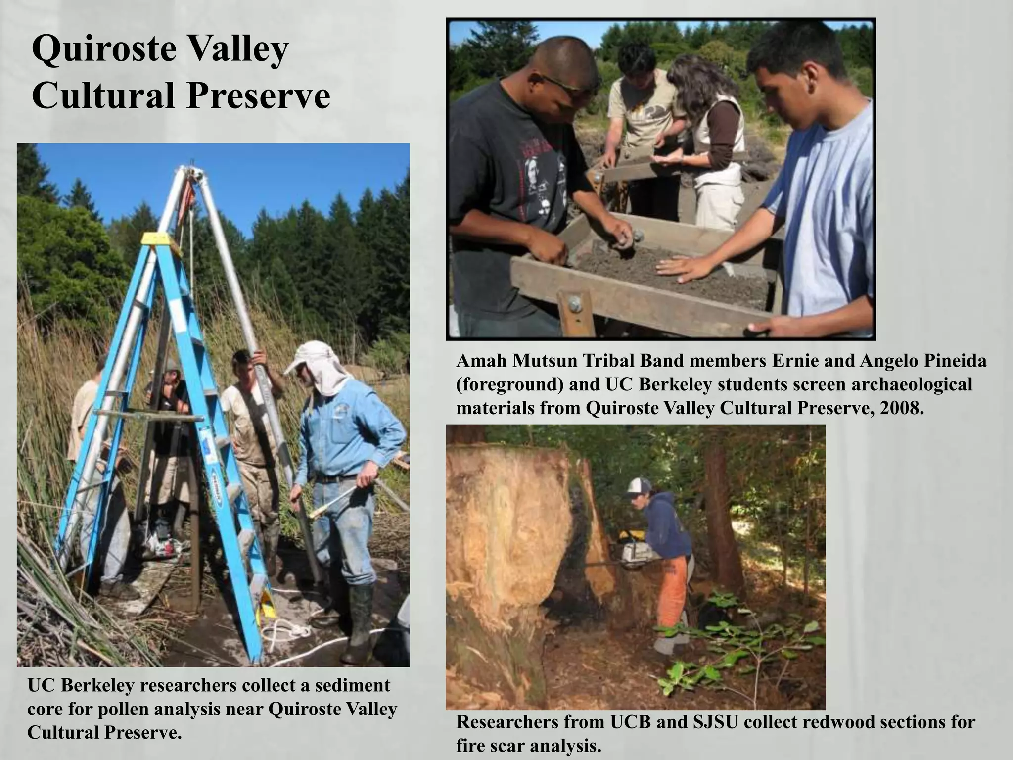 UC Berkeley researchers collect a sediment
core for pollen analysis near Quiroste Valley
Cultural Preserve.
Amah Mutsun Tribal Band members Ernie and Angelo Pineida
(foreground) and UC Berkeley students screen archaeological
materials from Quiroste Valley Cultural Preserve, 2008.
Researchers from UCB and SJSU collect redwood sections for
fire scar analysis.
Quiroste Valley
Cultural Preserve
 