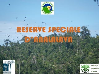 RESERVE SPECIALE
D’ANALALAVA
 