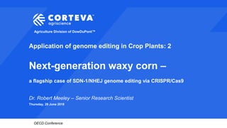 Agriculture Division of DowDuPont™
OECD Conference
Application of genome editing in Crop Plants: 2
Next-generation waxy corn –
a flagship case of SDN-1/NHEJ genome editing via CRISPR/Cas9
Dr. Robert Meeley – Senior Research Scientist
Thursday, 28 June 2018
1
 