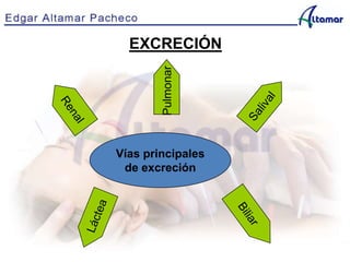 EXCRECIÓN
Vías principales
de excreciónPulmonar
 