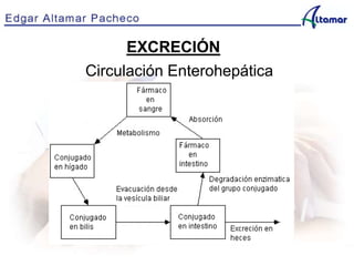 EXCRECIÓN
Circulación Enterohepática
 